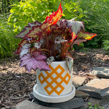 Planter: Endless Knot / Oroboro Red