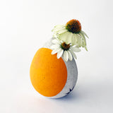 Seed Bud Vase: Crescent Marigold Split