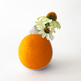 Seed Bud Vase: Crescent Marigold