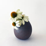 Seed Bud Vase: Crescent / TXD