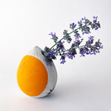 Seed Bud Vase: Crescent Marigold Split